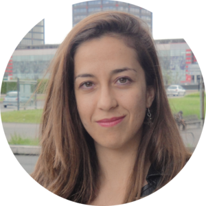 Go to the profile of Dimitra Georgiadou