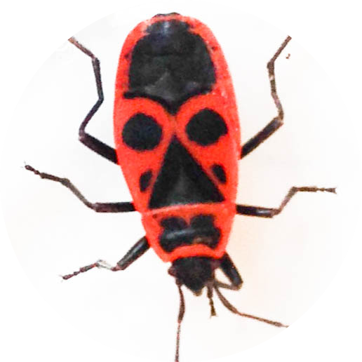 Go to the profile of Marius Walter