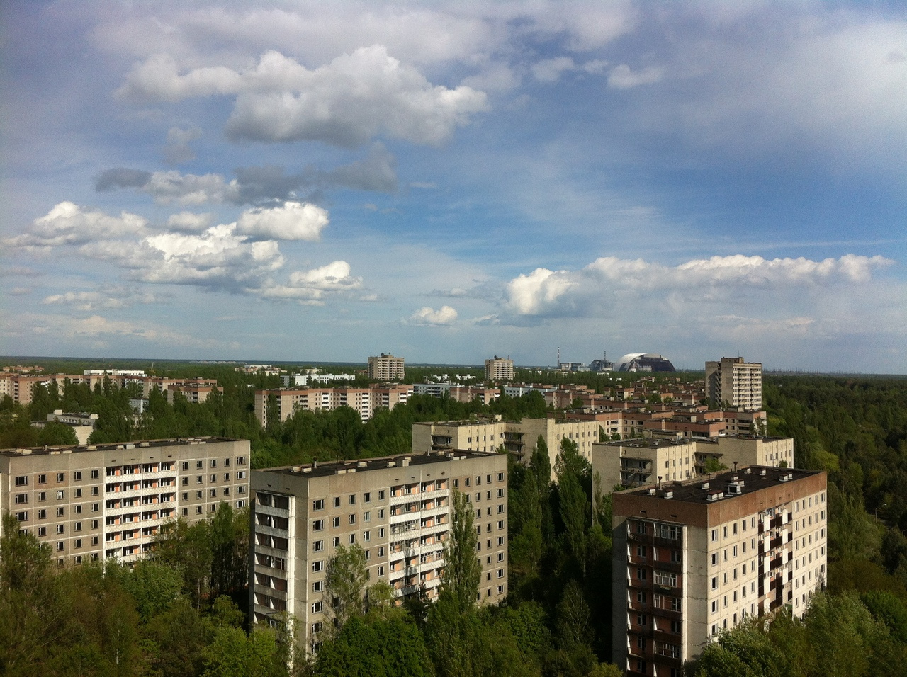 Metagenome assembled genomes for the bank vole Myodes glareolus.