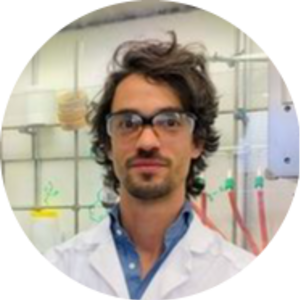 Go to the profile of Giorgio Pesciullesi