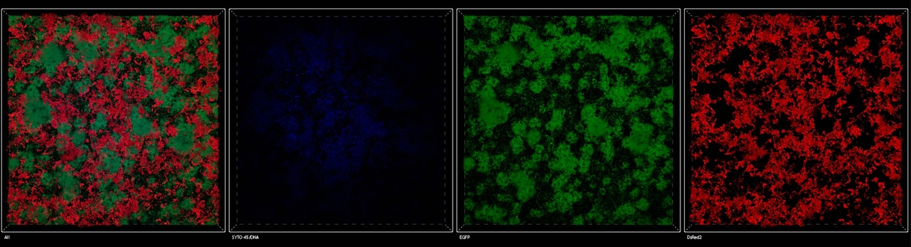 A Different Feeling When We Touch...