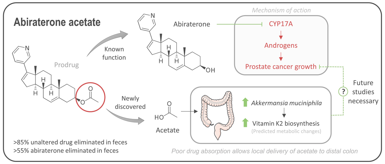 The accidental discovery of the world’s most expensive prebiotic?