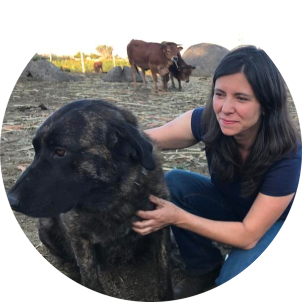 Go to the profile of Silvia Ribeiro