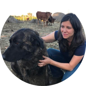 Go to the profile of Silvia Ribeiro