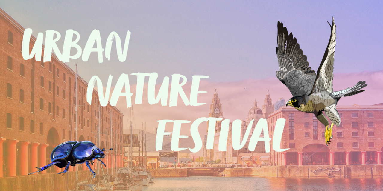 Free Urban Nature Day Festival for 18-35s in Liverpool on 9th Sept