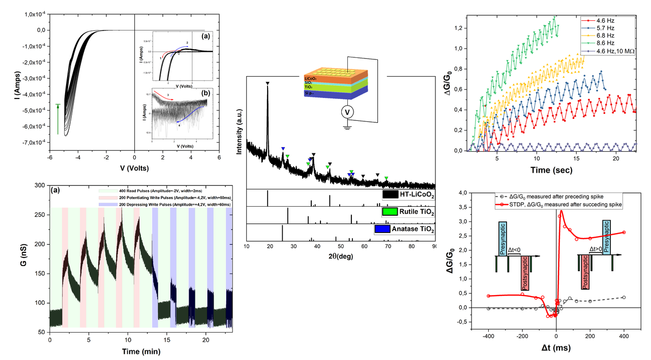 Evidence of Biorealistic Synaptic Behavior in Diffusive Li-based Two-terminal Resistive Switching Devices