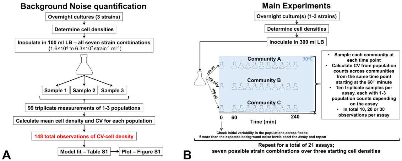 Drifting along- how to quantify a totally random process