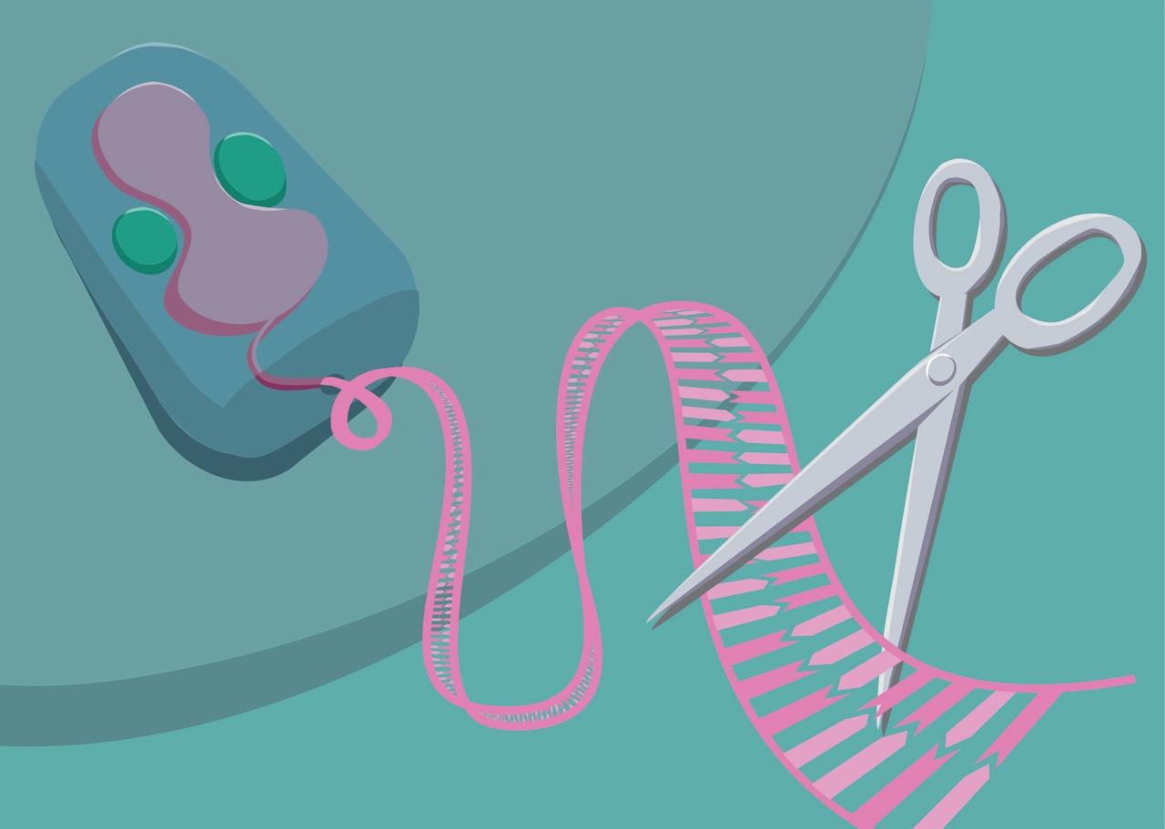 Cutting months off recombinant vaccine development