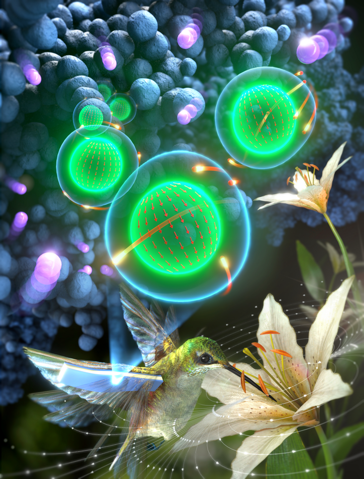 A Dual-Responsive Magnetoactive and Electro–Ionic Soft Actuator Derived from a Nickel-Based Metal–Organic Framework