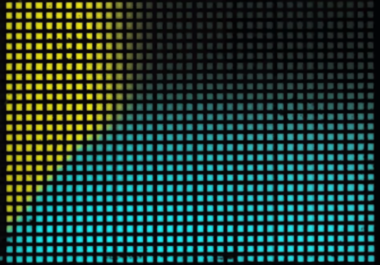 Using synthetic biology to understand development