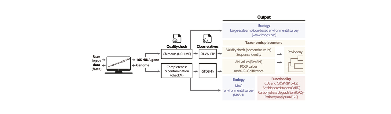Describing and naming bacteria in the 21st century