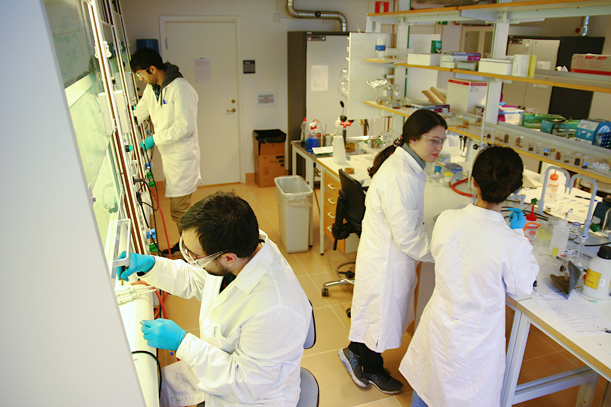 New materials sprout from the interface of natural polymers, biocatalysis, and sustainable chemistry