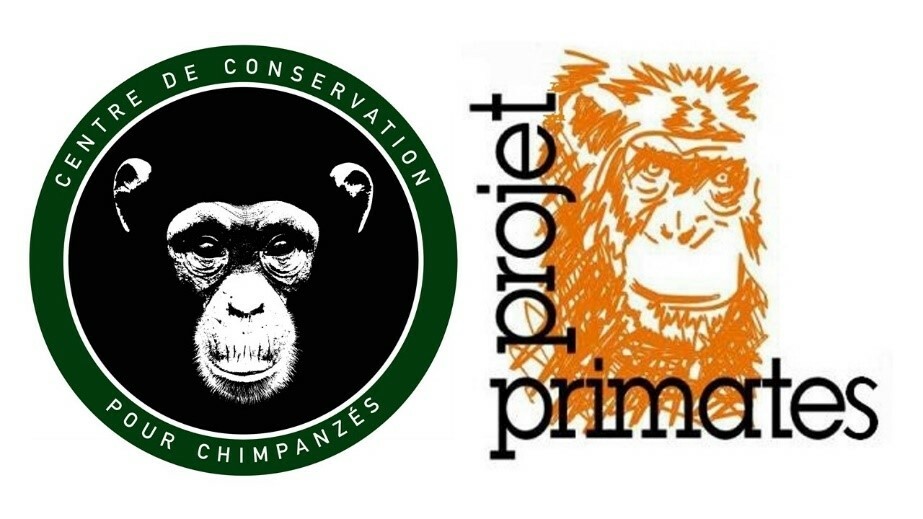 Job Opportunity-Directeur executif-Centre de Conservation pour Chimpanzés, République de Guinée