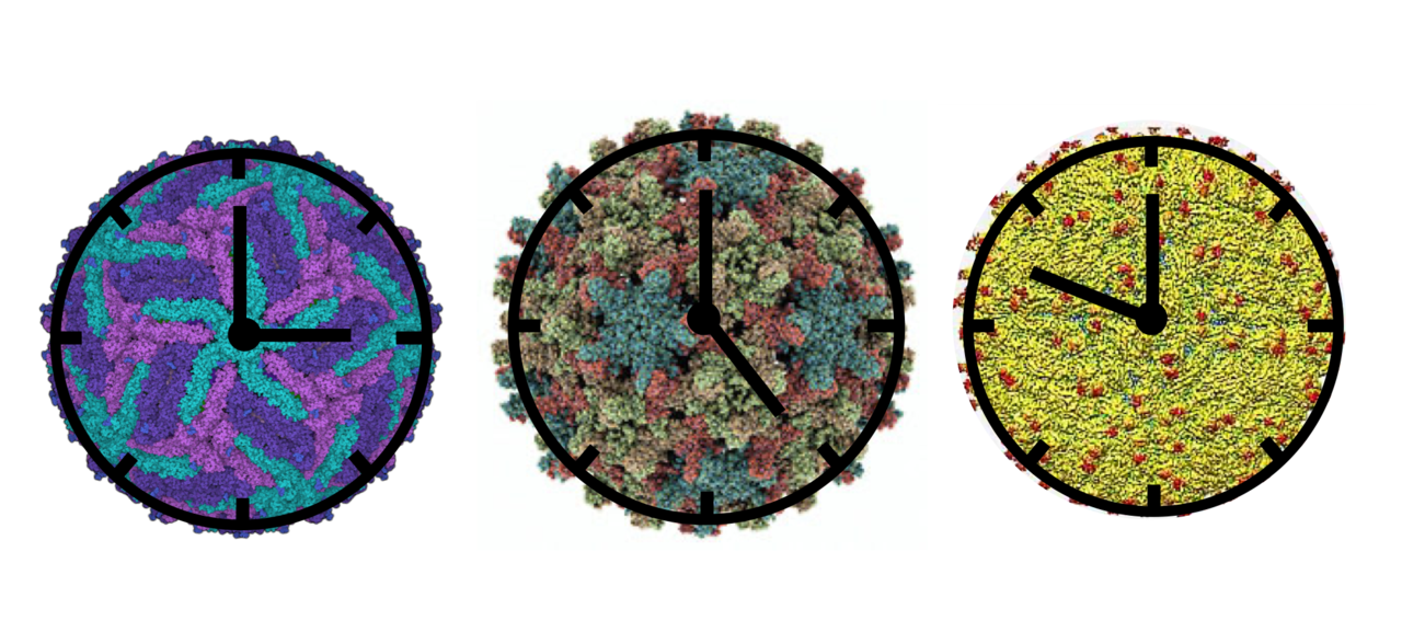 After the Paper: It’s virus o’clock 