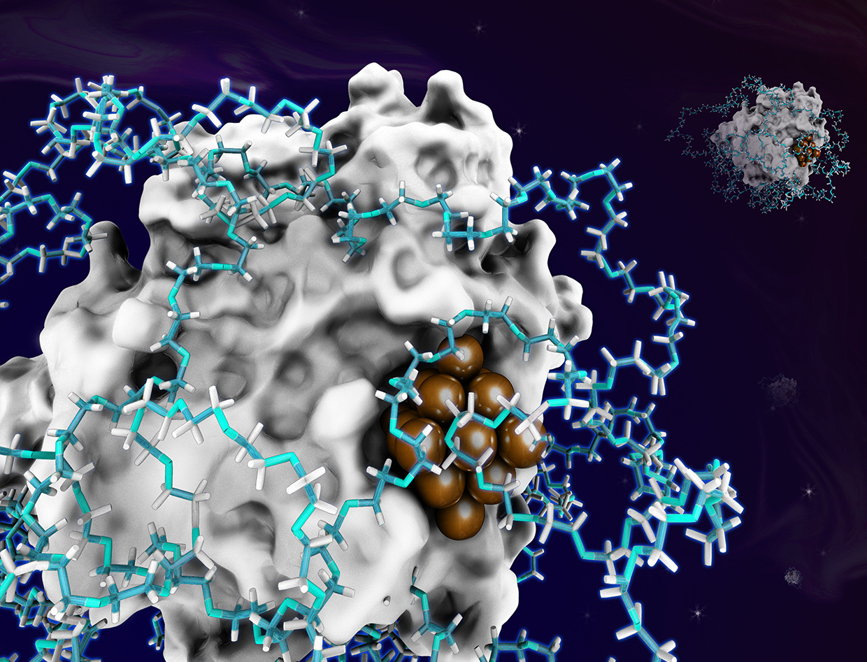 After the Paper | An after-the-paper story of enzyme-metal hybrid catalysts with controllable metal nanoparticle size