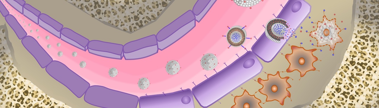 Nanoparticles with combination therapy targeting the tumor microenvironment for the treatment of Myeloma