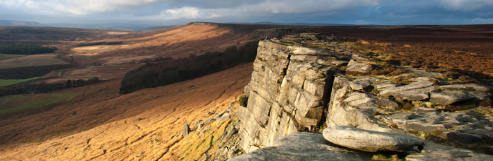 Stakeholder Engagement assessment