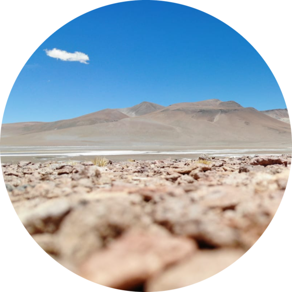 Go to the profile of Loreto Valdivia