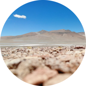 Go to the profile of Loreto Valdivia