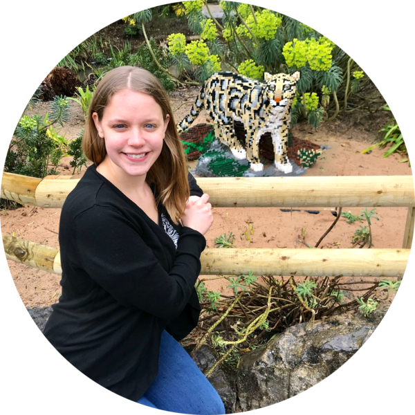 Go to the profile of Courtney King