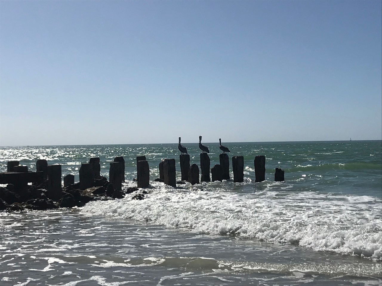 Hello, I’m Courtney