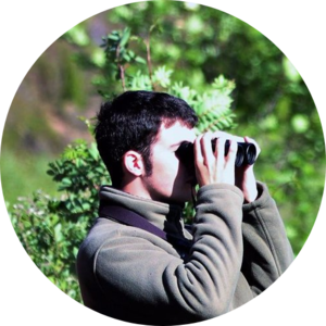 Go to the profile of Joe Bodycote