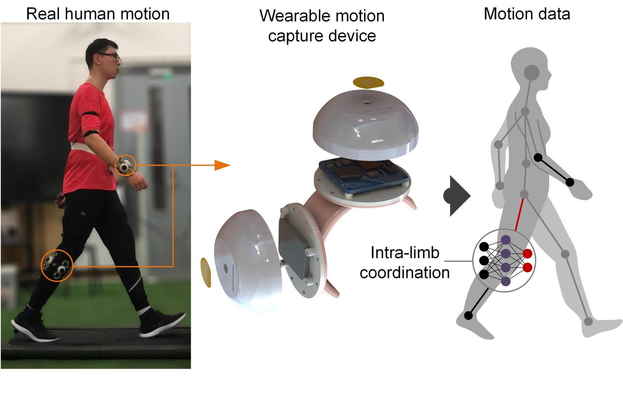A wearable motion capture device able to detect dynamic motion of human limbs