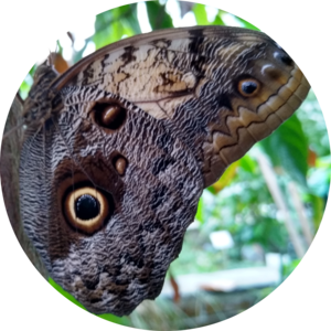 Go to the profile of Ashlyn McKnight