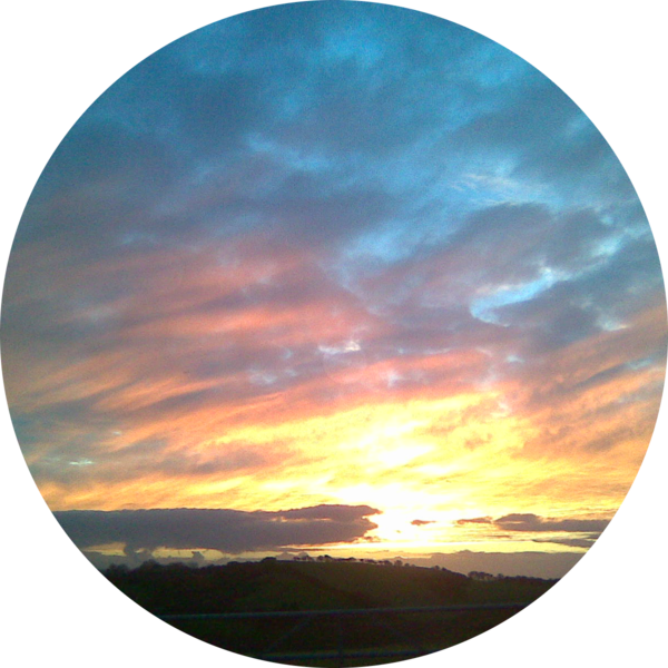 Go to the profile of Al Heal