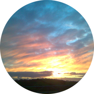 Go to the profile of Al Heal