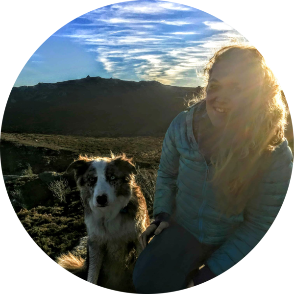 Go to the profile of Beth Rogers