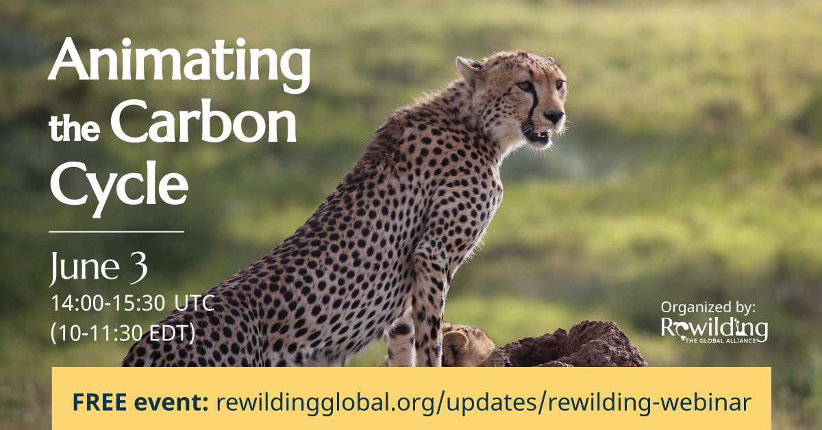 Animating Carbon Cycle - Webinar Recording