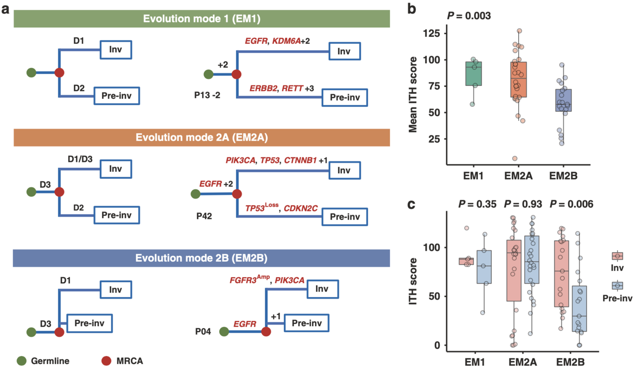 From preinvasive to invasive: disecting the evolutionary secretary of early lung adenocarcinoma