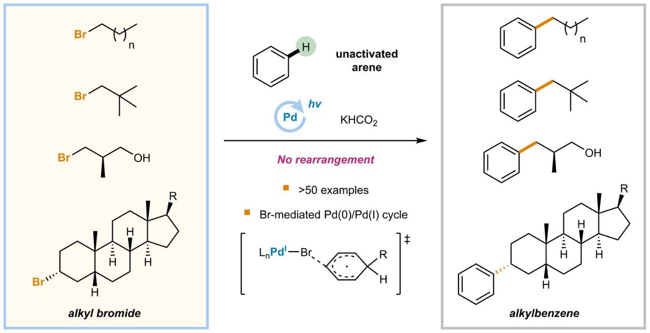 Direct C–H Alkylation of Simple Arenes via Visible-Light Induced Palladium Catalysis