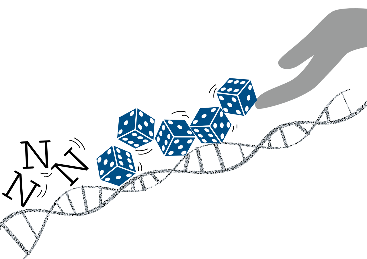 How DNA can be used to generate random numbers