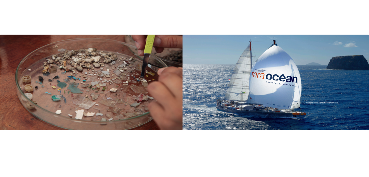 Microplastic is everywhere, even in the atmosphere of remote oceans