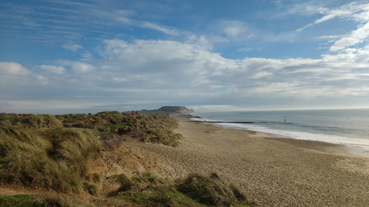 Developing the future workforce; case study of a successful placement scheme.