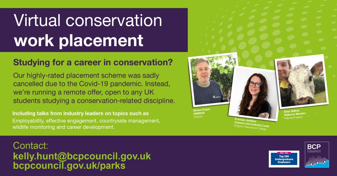 Virtual Conservation Work Placement