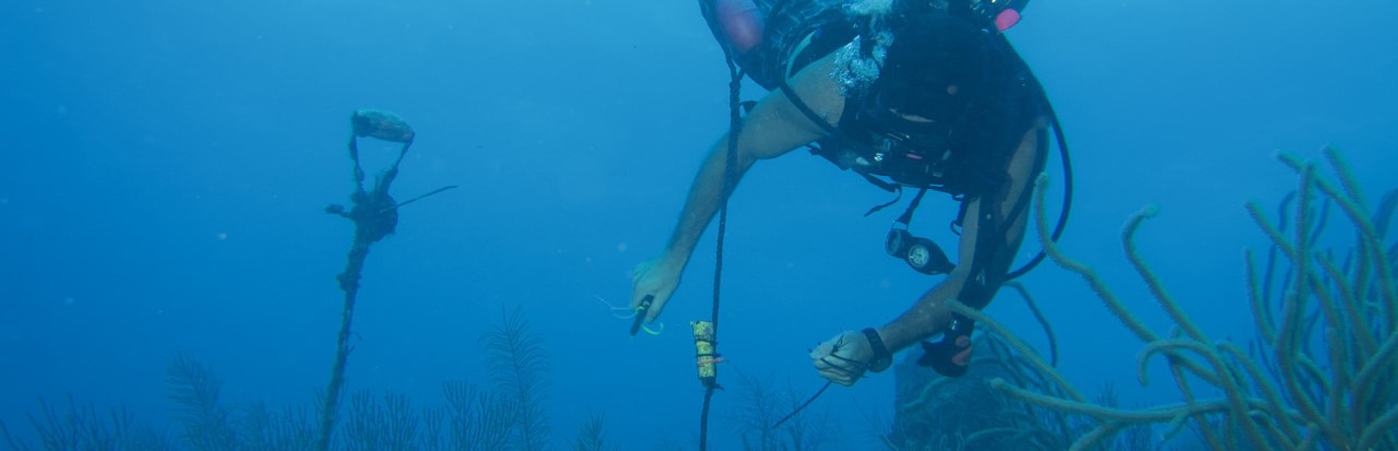 The life side of science: 15 years of milestones, funding woes, and perseverance in long-term monitoring projects 
