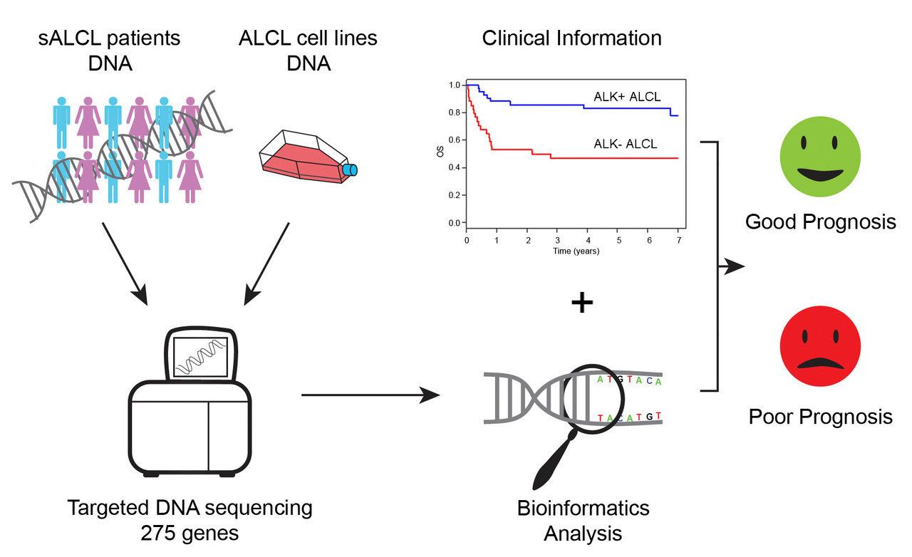 STAT3 and TP53 mutations associate with poor prognosis in anaplastic large cell lymphoma