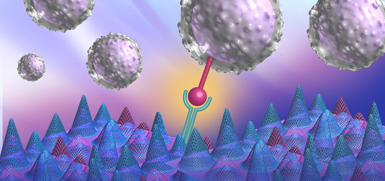 A spectral library for human T-cell proteins