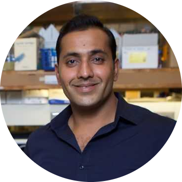 Go to the profile of Rishi Drolia