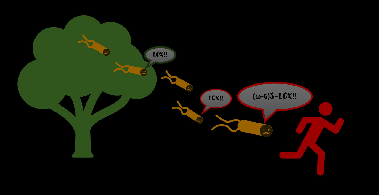 New preprint suggests the mechanism of cross-kingdom host jumps