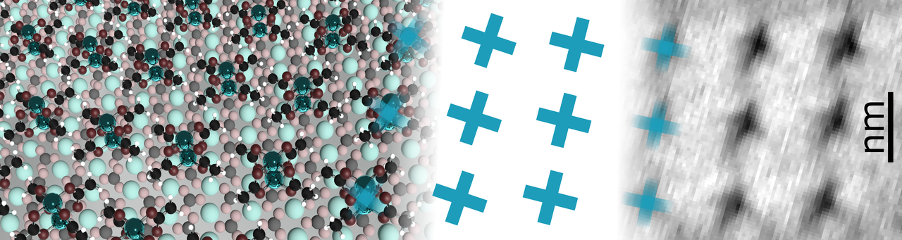 A regular array of metal atoms