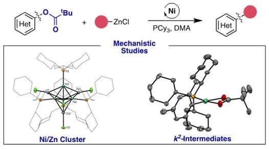 Unexpected Ni-Zn Interactions During The Negishi Cross-Coupling of Aryl Esters