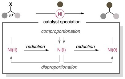 Understanding Electron Transfer Events In Nickel Catalysis