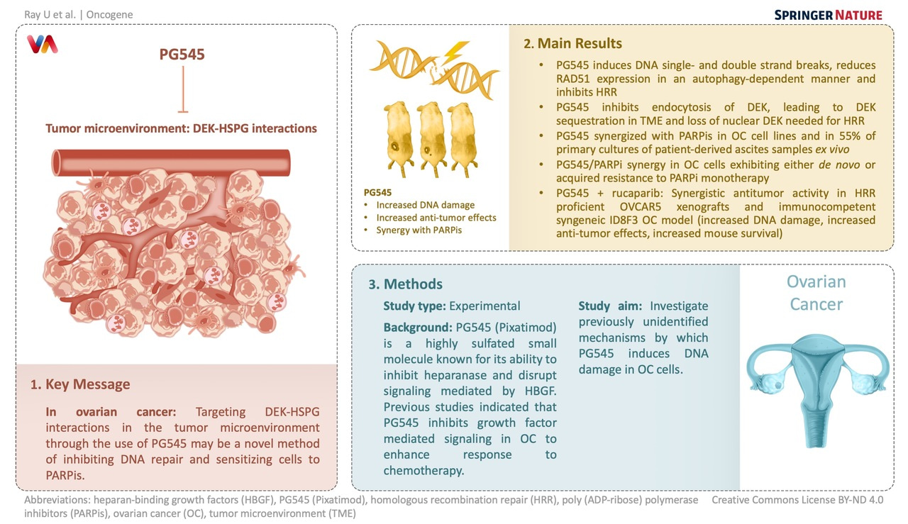 Targeting by PG545 enhances PARP inhibitor response in ovarian cancer