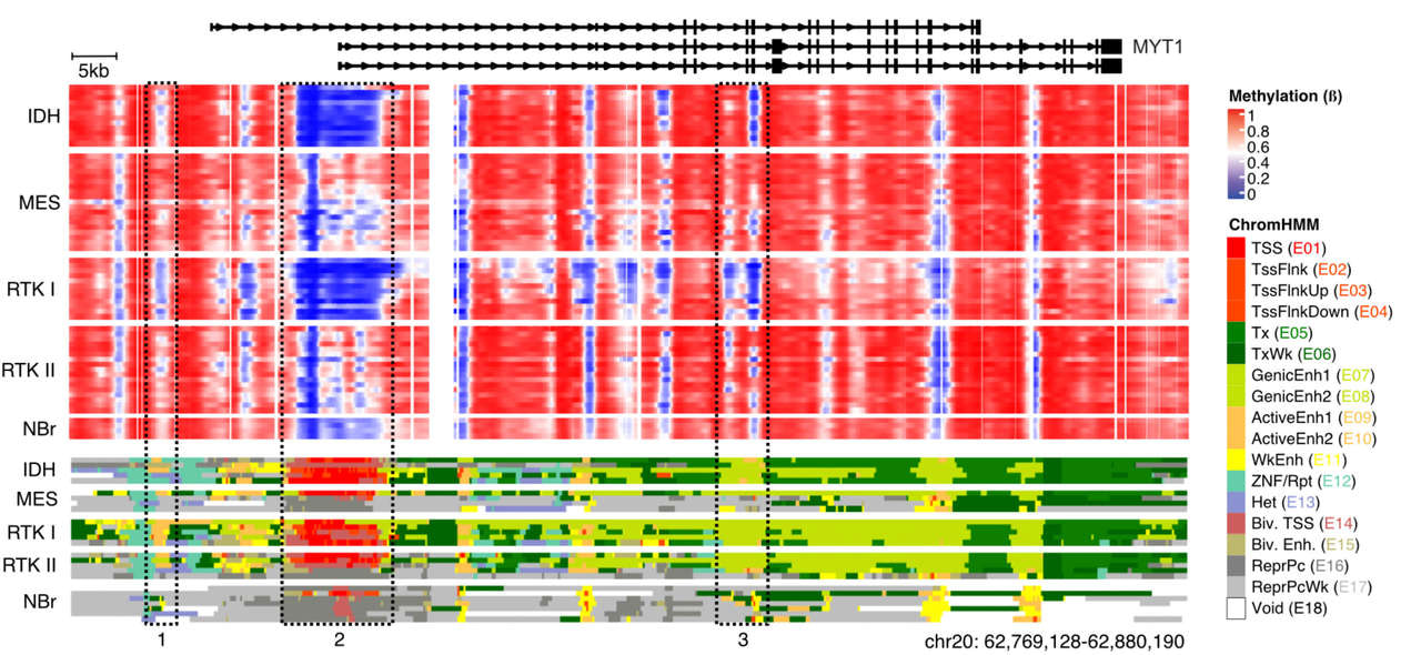 Swimming in a sea of data