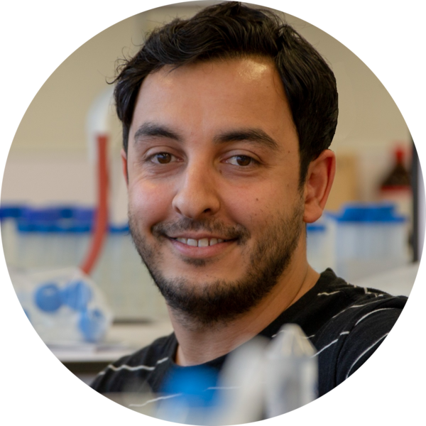 Go to the profile of Omid Taheri Qazvini