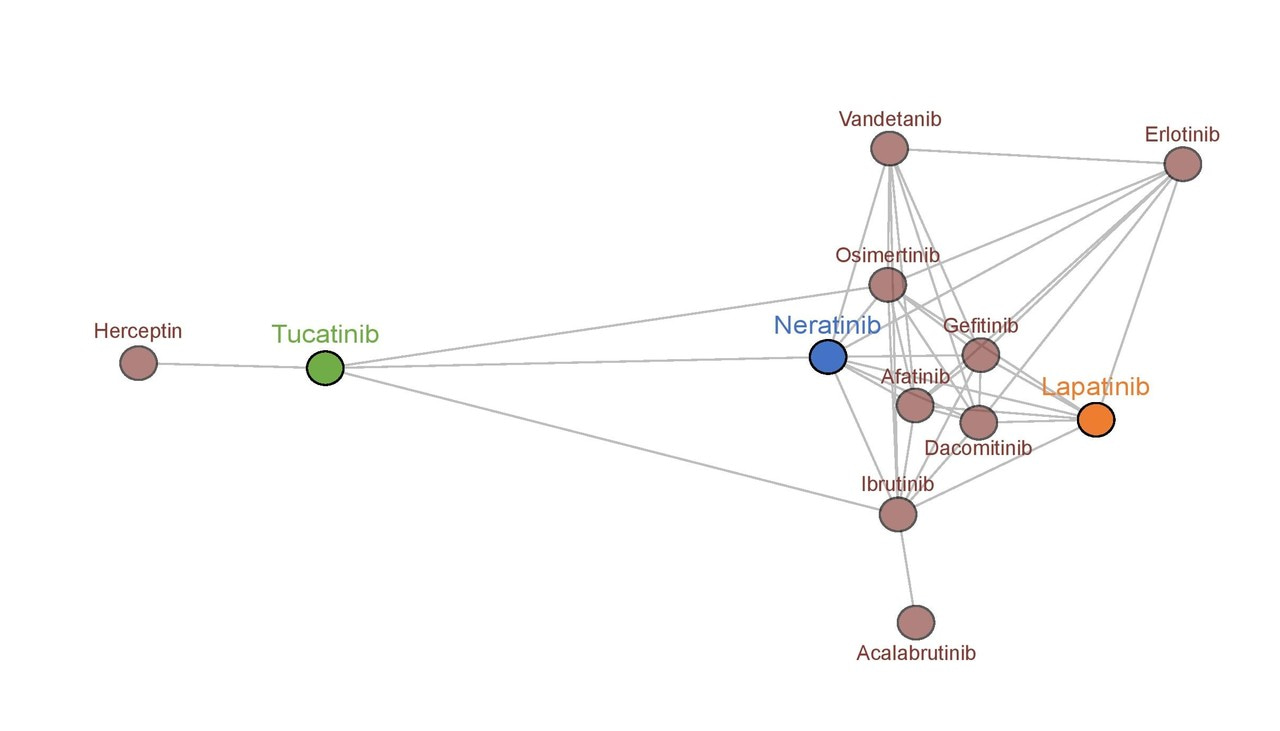 Differentiating HER2-targeted tyrosine kinase inhibitors